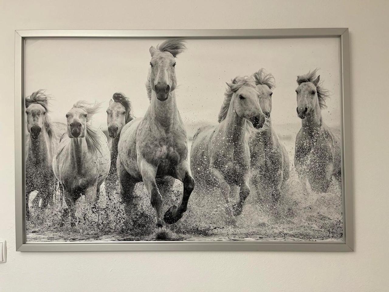 Отель Ostoya Roztocze Szczebrzeszyn Экстерьер фото